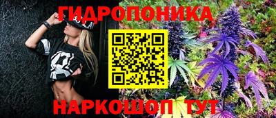 амф Будённовск