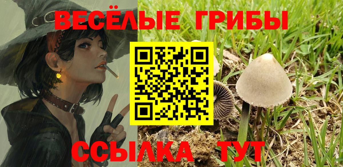 Псилоцибиновые грибы прущие грибы  наркотики  Дюртюли  Вход с VPN 
